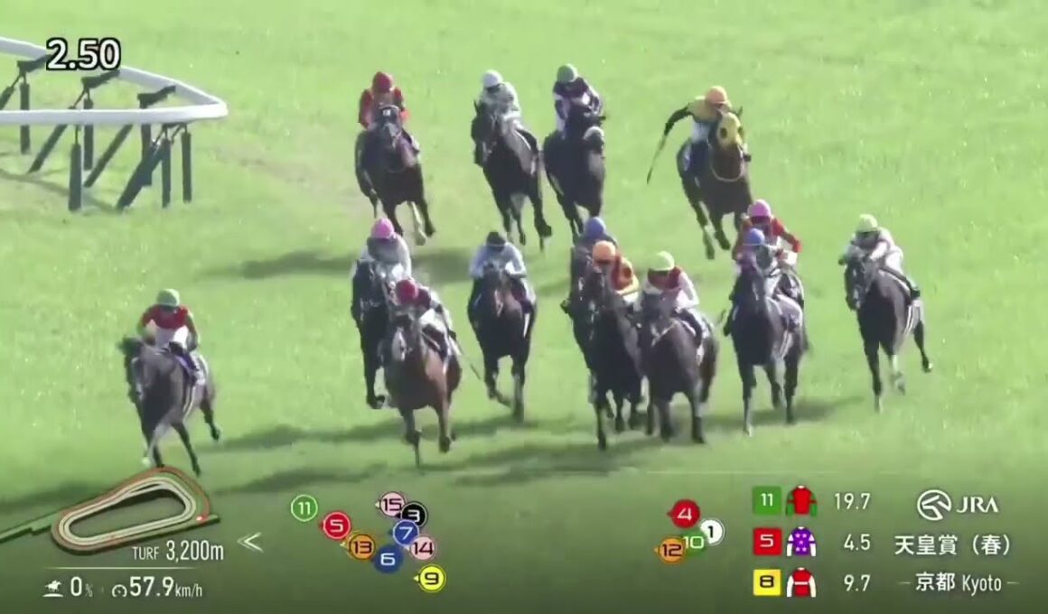 2025年 天皇賞(春)(G1)(ヘデントール、D.レーン)