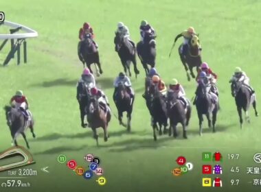 2025年 天皇賞(春)(G1)(ヘデントール、D.レーン)