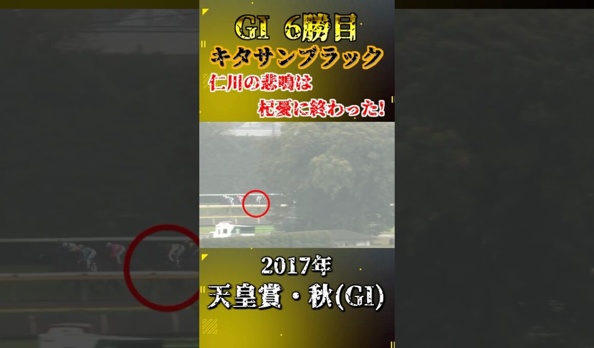 キタサンブラック【2017年天皇賞・秋(GI)】#競馬 #shorts #天皇賞秋 #キタサンブラック