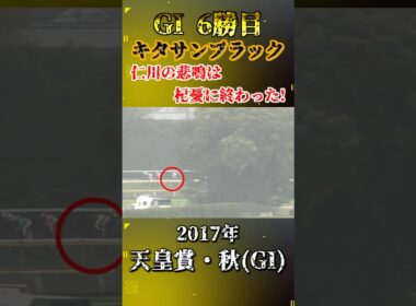 キタサンブラック【2017年天皇賞・秋(GI)】#競馬 #shorts #天皇賞秋 #キタサンブラック