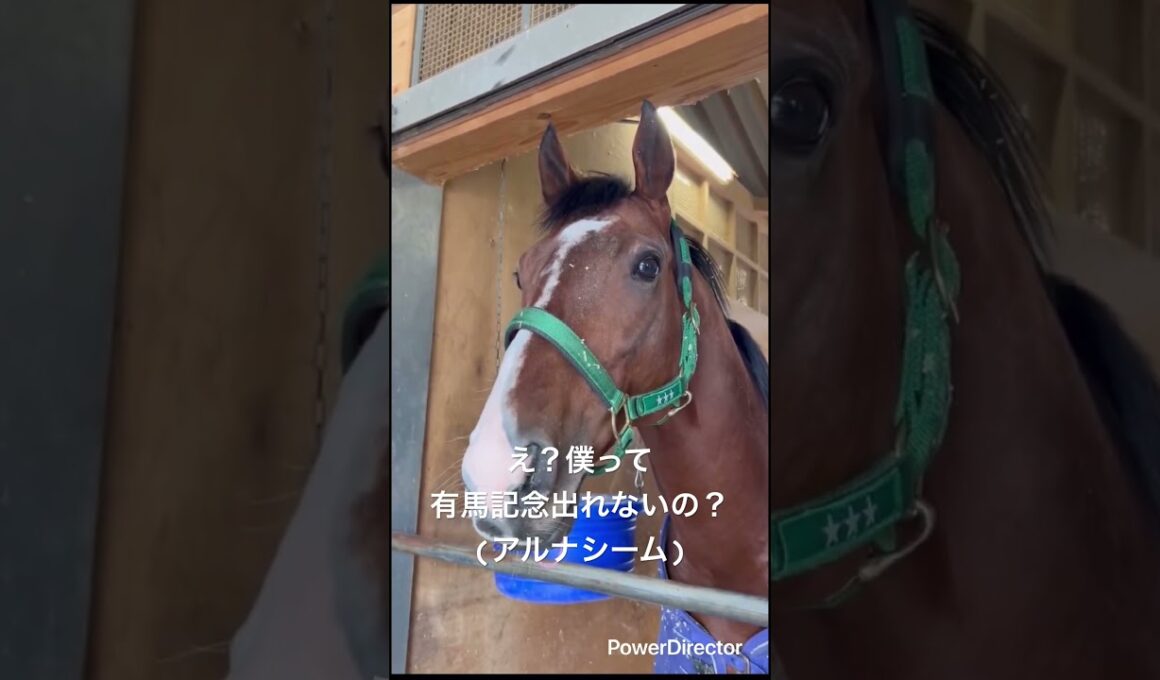 え？有馬記念出れないの？