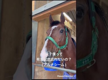 え？有馬記念出れないの？