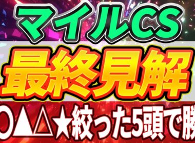 【マイルCS2025】穴馬を添えた5頭勝負。【最終見解】