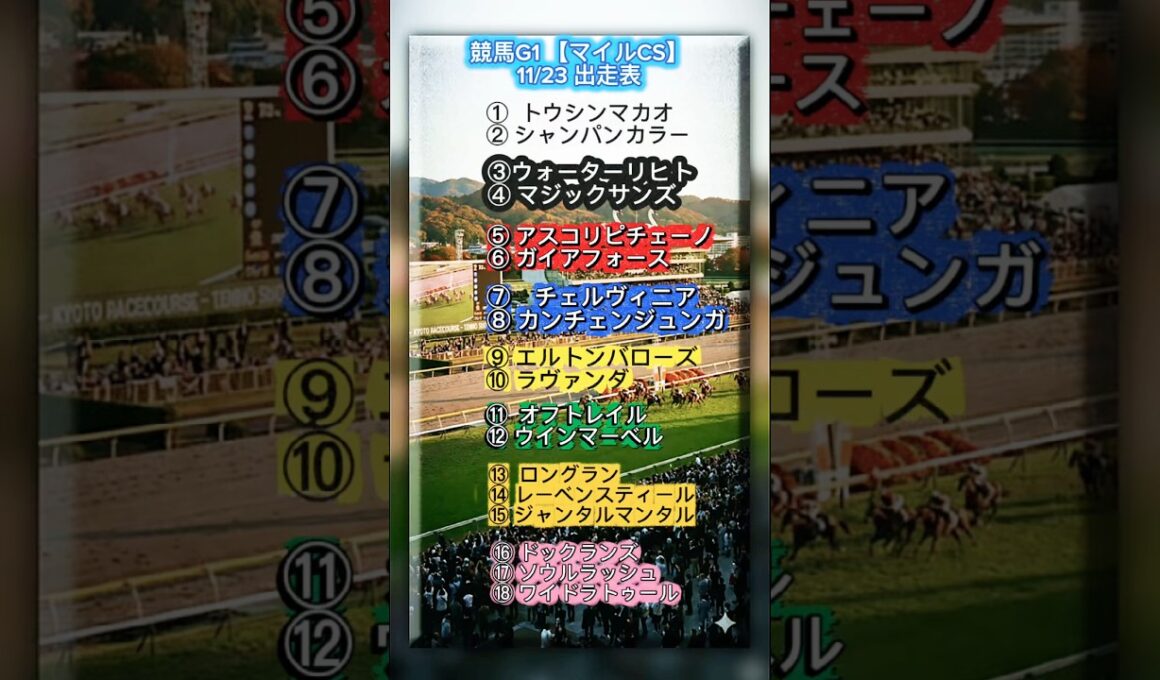 競馬G1 2025年【マイルCS】11/23(日)出走表&上位人気オッズ(10:30時点)