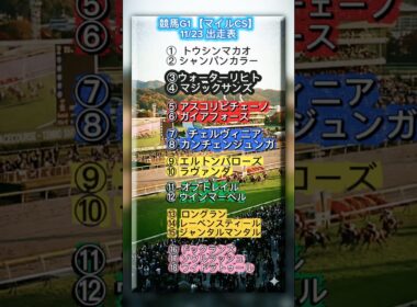 競馬G1 2025年【マイルCS】11/23(日)出走表&上位人気オッズ(10:30時点)