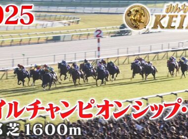 【マイルチャンピオンシップ・GⅠ】マイルCS 京都 芝 1600m 2025 レース  【みんなのKEIBA】