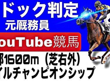 マイルチャンピオンシップ2025完全予想！今年の注目馬とパドックを徹底解説！