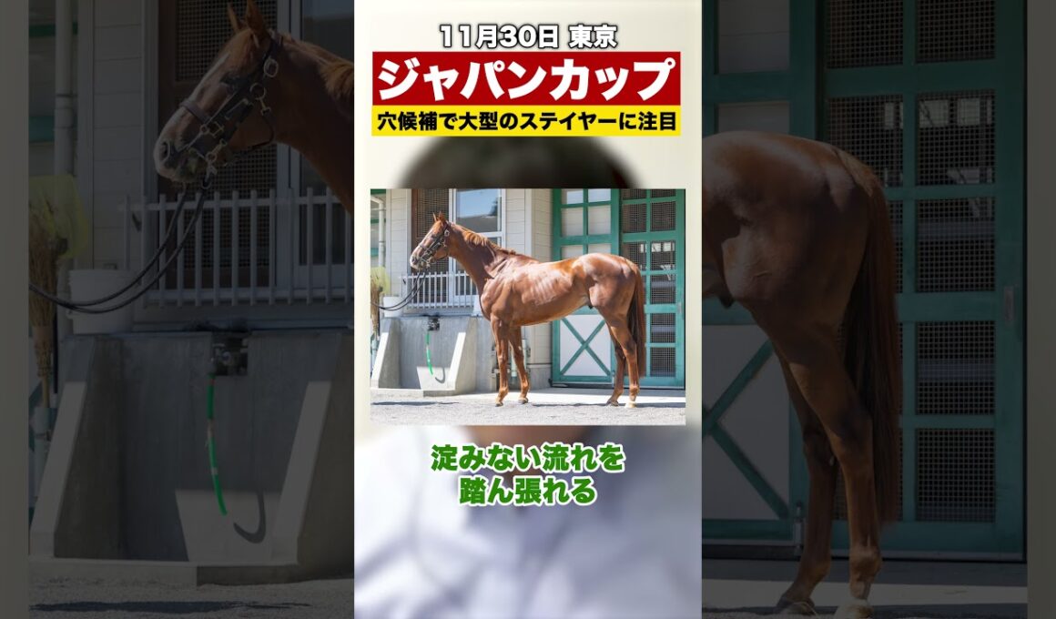 【ジャパンカップ2025】おすすめ穴候補！大型ステイヤーのこの馬
