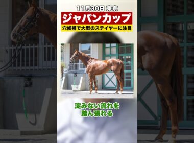 【ジャパンカップ2025】おすすめ穴候補！大型ステイヤーのこの馬