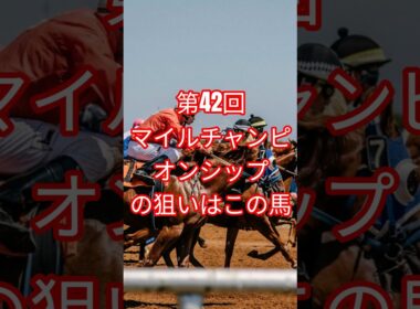第42回　マイルチャンピオンシップの狙いはこの馬！ #shorts  #ジャンタルマンタル  #川田 #ルメール  #クリスチャン