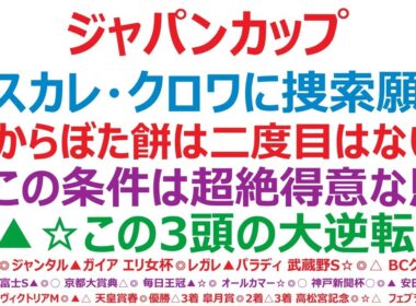 ジャパンカップ2025予想　マスカレードボール、クロワデュノールに捜索願か？！棚からぼた餅は二度目はない？◎この条件は超絶得意な馬！○▲☆この3頭の大逆転も十分ある！