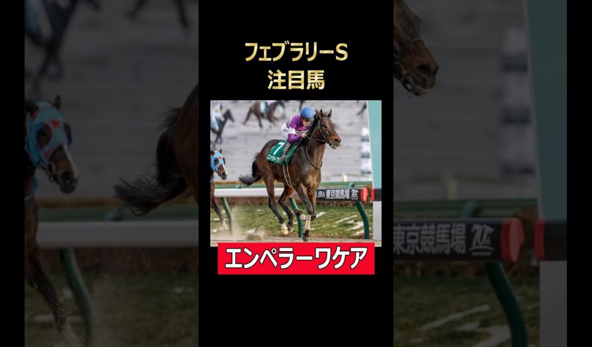 フェブラリーS注目馬 エンペラーワケア！#フェブラリーステークス #東京競馬場 #エンペラーワケア