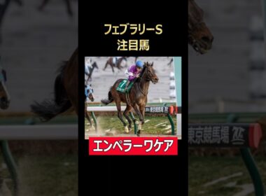 フェブラリーS注目馬 エンペラーワケア！#フェブラリーステークス #東京競馬場 #エンペラーワケア