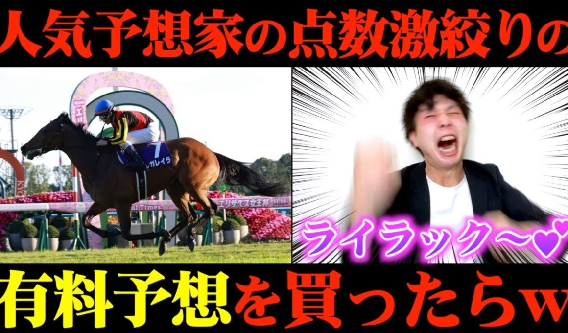 【エリザベス女王杯】Xで大人気の予想家の点数激絞りの有料予想を2日間買ってみた結果...【競馬検証】
