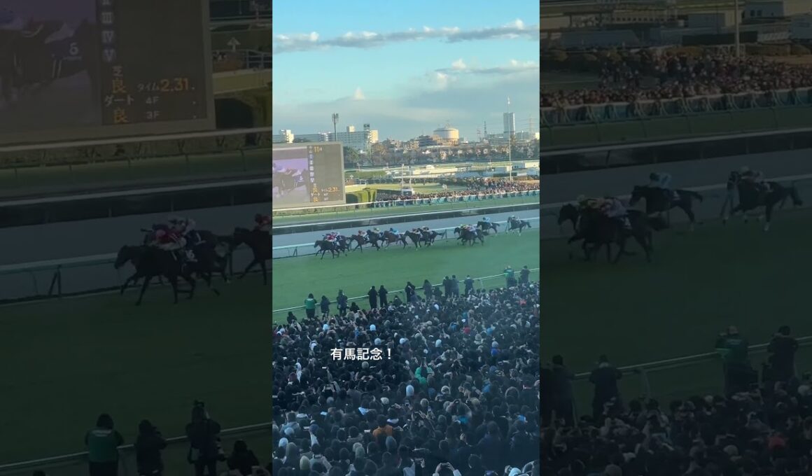 【有馬記念】2024有馬記念！サンデーサンデーで、このあと静まりかえる　#競馬ライブ #有馬記念 #レガレイラ