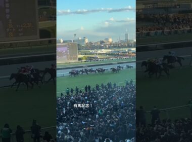 【有馬記念】2024有馬記念！サンデーサンデーで、このあと静まりかえる　#競馬ライブ #有馬記念 #レガレイラ