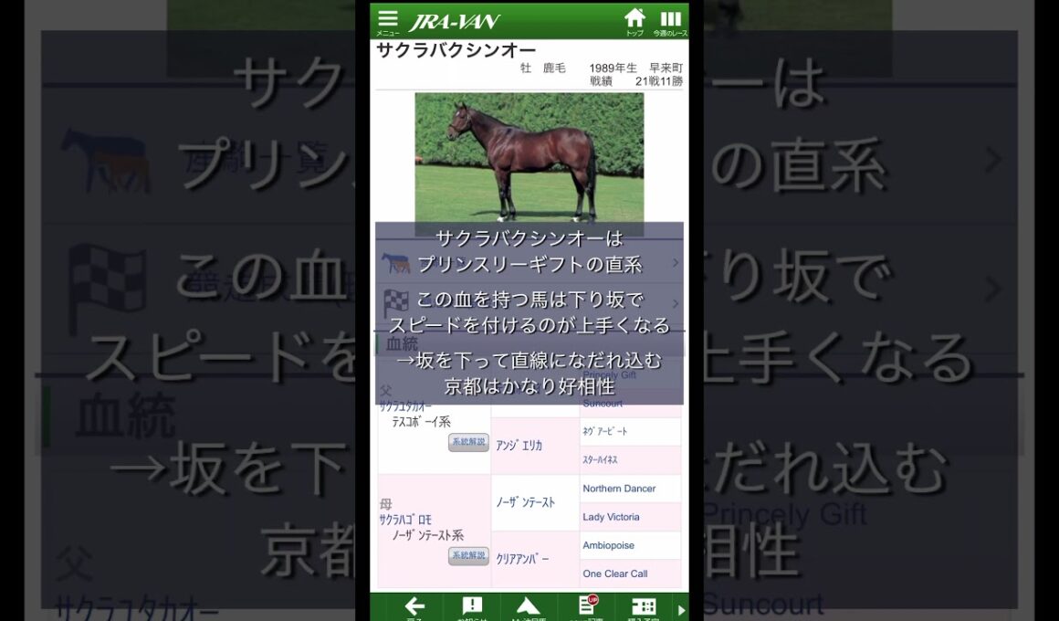 血統予想派ガシーのGIマイルCS予想 #競馬 #マイルチャンピオンシップ #血統予想