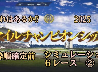 【マイルチャンピオンシップ 2025】 G1  枠順確定前 シミュレーション ６レース 秋のマイル王は⁉︎  ②