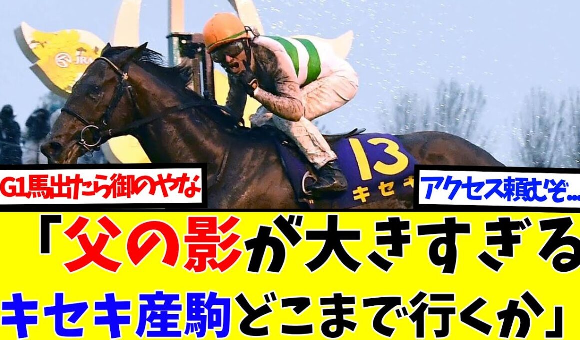【キセキ産駒】アクセスに期待殺到！桜花賞馬の後継者は重賞馬を輩出できるのか!?【競馬2ch】