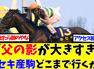 【キセキ産駒】アクセスに期待殺到！桜花賞馬の後継者は重賞馬を輩出できるのか!?【競馬2ch】