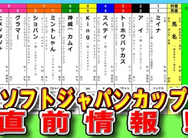 【直前情報！】＜ソフトジャパンカップ＞出走馬紹介！～予想のヒントがここに！？🐴💡～（2025/11/23）