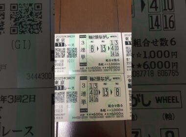 安田記念2025ソウルラッシュ#競馬 #安田記念 #ケンシロウ#ウマキング