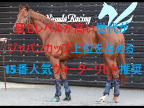 ジャパンカップ　最もレベルが高い世代が上位を占める　調教推奨馬ウォーターリヒト激走