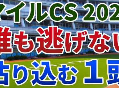 マイルチャンピオンシップ2025 追い切り後【買いの1頭】公開！逃げ馬不在の一戦なら位置取りと瞬発力！距離不安を払拭し、波乱を呼ぶ１頭は？