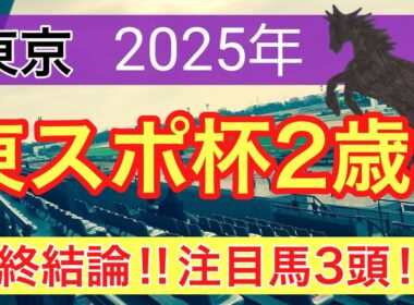 【東スポ杯2歳ステークス2025】蓮の競馬予想(最終結論)〜エリザベス女王杯は注目馬で完全決着