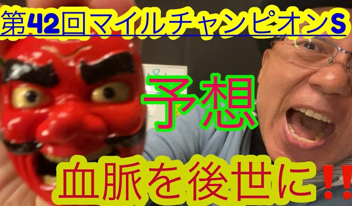 【Friday KEIBA予想】良馬場・京都マイル・Cコース・外差しを期待する‼️