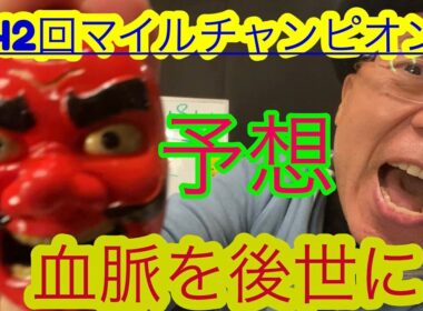 【Friday KEIBA予想】良馬場・京都マイル・Cコース・外差しを期待する‼️