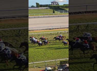 👑 #マイルチャンピオンシップ #京都競馬場 #京都11R 🐴 #ジャンタルマンタル #川田将雅 ゴールシーン🏁🏇 #マイルCS #競馬 #馬 #騎手 #racecourse #horseracing