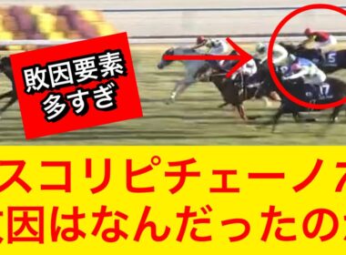 【マイルチャンピオンシップ2025】アスコリピチェーノ7着に完敗…国内では初めて飛んだが敗因は何だったのか？【競馬の反応集】