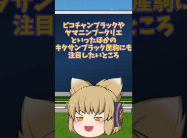 （ゆっくり解説）ホープフルステークスの予想#shorts  #ゆっくり解説 #競馬予想