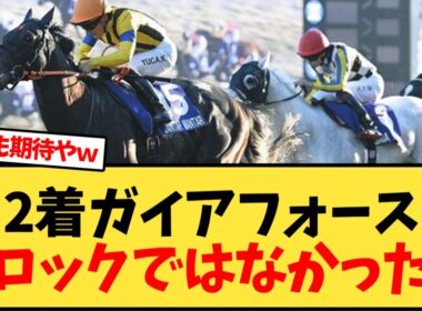 【マイルCS】2着ガイアフォースフロックではなかったw【競馬反応集】