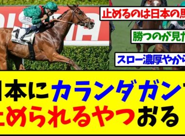 【ジャパンカップ2025】日本にカランダガンを止められるやつ…おるか？【反応集】