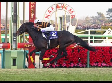2017　有馬記念 GⅠ　キタサンブラック　武豊
