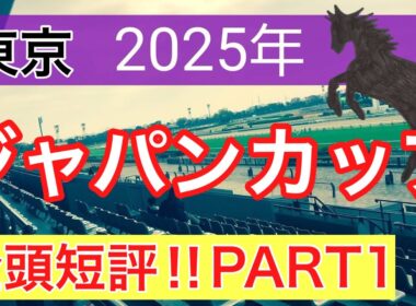 【ジャパンカップ2025】蓮の競馬予想(全頭短評PART1)