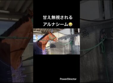 甘え無視されるアルナシーム😭