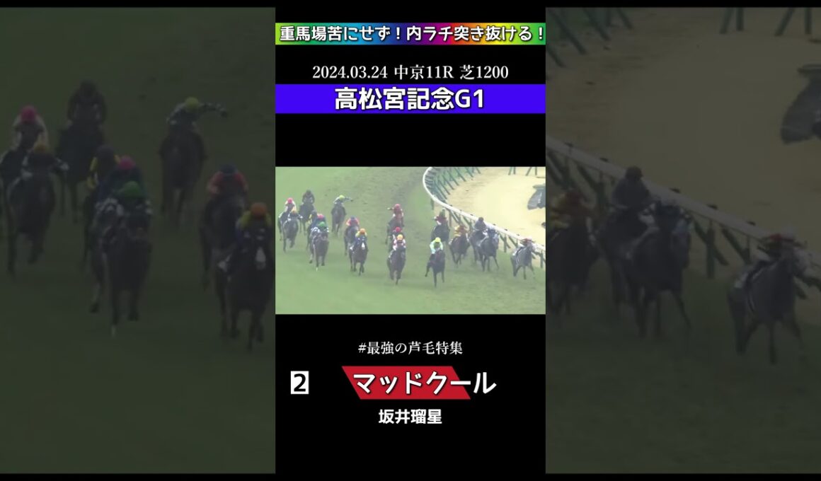 【競馬】マッドクール！2024高松宮記念！重馬場苦にせず！内ラチ突き抜ける！最強の芦毛特集！#shorts #競馬