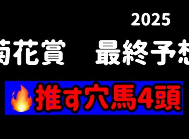 【競馬予想】　菊花賞　2025  最終予想
