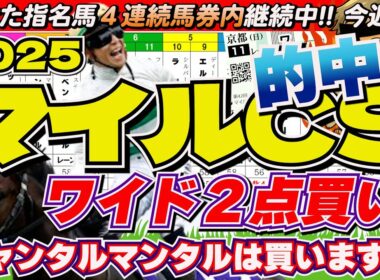 マイルチャンピオンシップ2025「この馬、３着ならアル！」