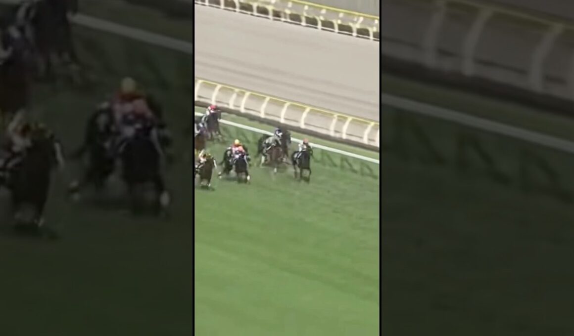 #ジャパンカップ #JC #G1 #競馬予想 #カランダガン #クロワデュノール #マスカレードボール #ジャスティンパレス