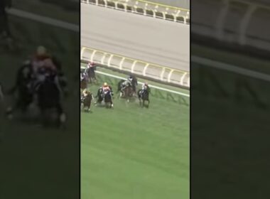 #ジャパンカップ #JC #G1 #競馬予想 #カランダガン #クロワデュノール #マスカレードボール #ジャスティンパレス