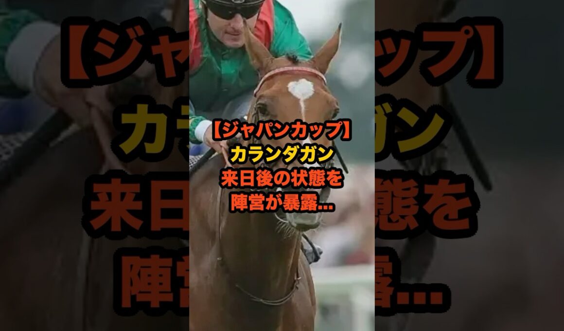 世界最強馬カランダガンの“来日直後の本音”を陣営が暴露…#競馬 #ジャパンカップ #ジャパンC  #カランダガン