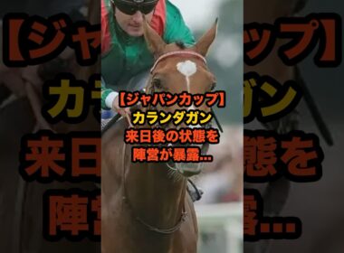 世界最強馬カランダガンの“来日直後の本音”を陣営が暴露…#競馬 #ジャパンカップ #ジャパンC  #カランダガン