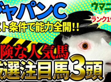 【ジャパンカップ2025】先週マイルCS◎○馬連1点勝負で的中！「霧プロ」の厳選注目馬＆危険な人気馬を特別公開！