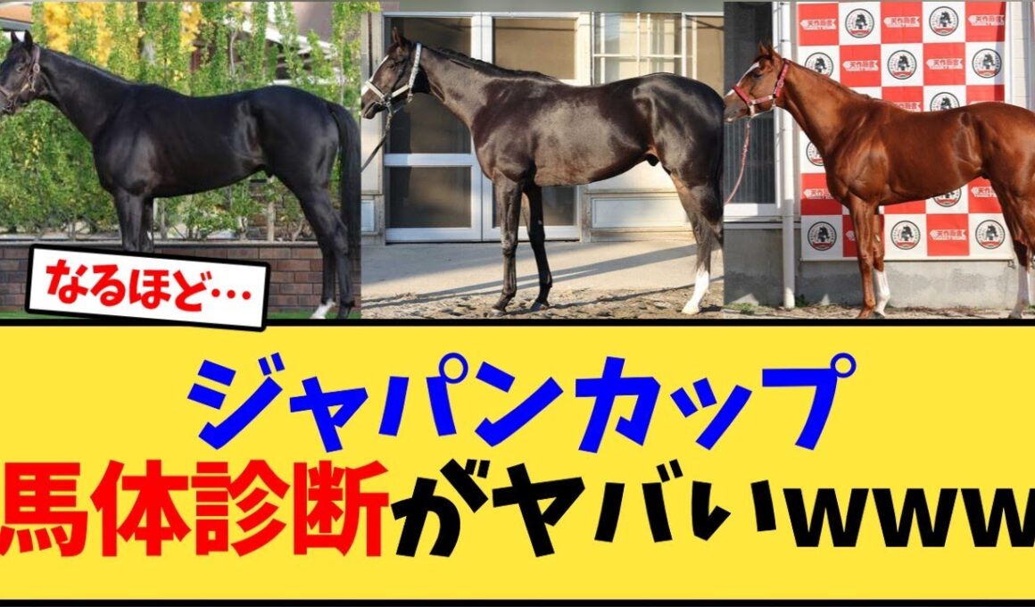 【ジャパンカップ】JC出走有力馬の馬体診断がヤバいwww【競馬反応集】