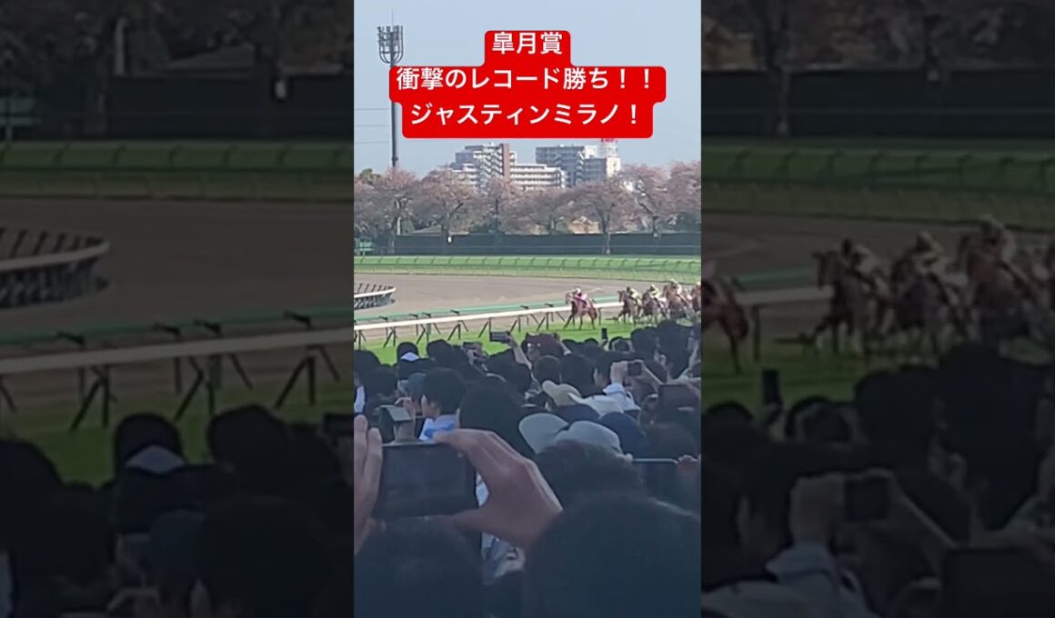皐月賞2024 衝撃のレコードで駆け抜けたジャスティンミラノ！！と前六頭！ノーカット映像は↑の関連動画から