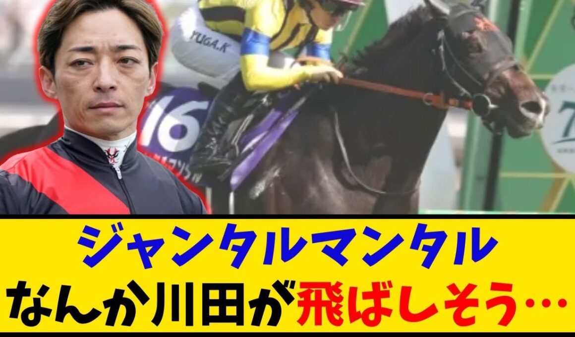 【マイルCS】「ジャンタルマンタル 1番人気もなんか川田が飛ばしそうでヤバい…」に対するみんなの反応【反応集】